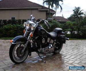 1995 Harley-Davidson Softail for Sale