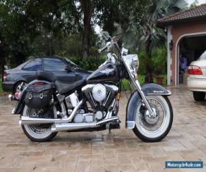 Motorcycle 1995 Harley-Davidson Softail for Sale