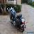 1995 Harley-Davidson Softail for Sale