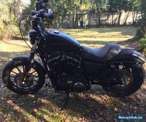 Motorcycle 2010 Harley-Davidson Sportster for Sale