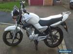 2009 YAMAHA YBR 125 SILVER for Sale