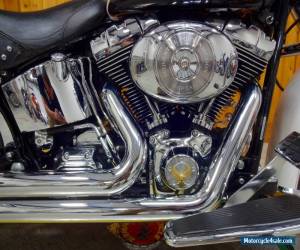 Motorcycle 2006 Harley-Davidson Softail for Sale