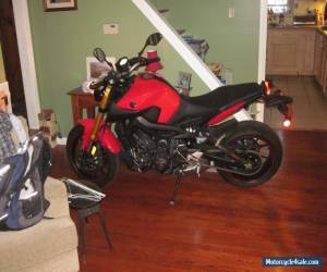 Motorcycle 2014 Yamaha FZ for Sale