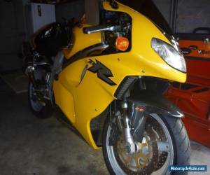 Motorcycle Suzuki TL1000R - Amazing condition with some very nice and classy extras for Sale