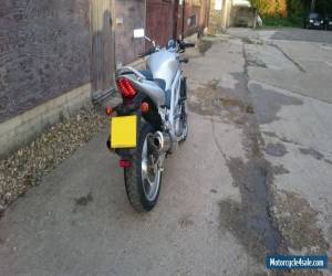 Motorcycle Suzuki SV1000n Low Miles 1 previous owner 8k for Sale