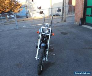 Motorcycle 1999 Harley-Davidson Softail for Sale