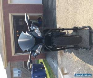 Motorcycle Kawasaki: Ninja for Sale