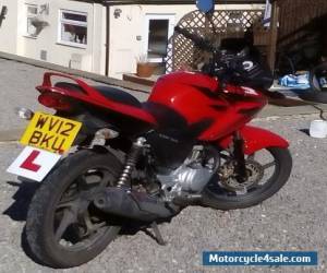 Motorcycle 2012 HONDA CBF 125 M-B RED for Sale