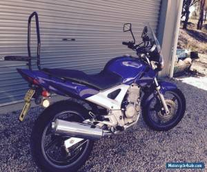 Motorcycle 2006 Honda CBF250 for Sale