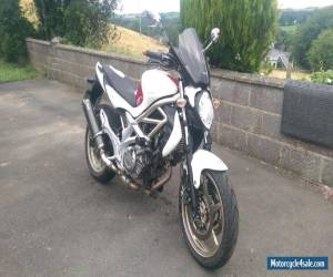 Motorcycle SUZUKI SFV 650 GLADIUS K9 for Sale