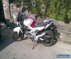 Motorcycle SUZUKI SFV 650 GLADIUS K9 for Sale