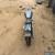 Harley Davidson Softail for Sale