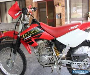 Motorcycle Honda XR100R 2001 Model for Sale