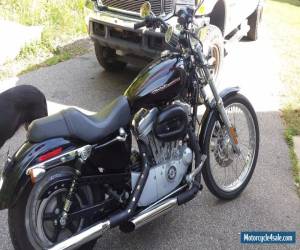 Motorcycle 2005 Harley-Davidson Sportster for Sale