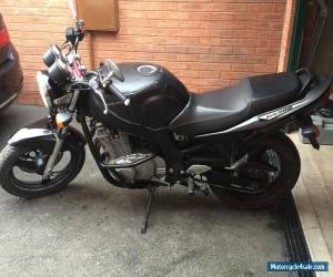 Motorcycle Suzuki GS500 2008 motorcycle for Sale