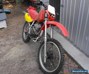 Honda XR600 for Sale