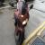 2004 HONDA CBR 1000RR for Sale