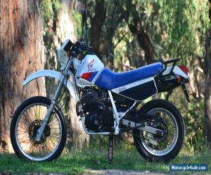 Motorcycle Honda XL600 RMG for Sale