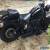 2000 Harley-Davidson Softail for Sale