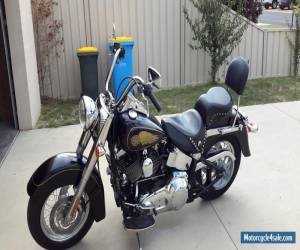 Motorcycle harley-davidson softail  for Sale