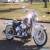 2000 Harley-Davidson Softail for Sale