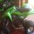 KAWASAKI 400CC  for Sale