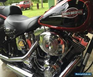 Harley Davidson Heritage Classic 2006 Great Condition for Sale