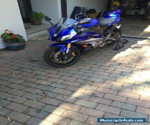 Motorcycle Yamaha R6 road bike for Sale