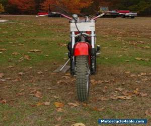 Motorcycle 1978 Bultaco M-199 for Sale