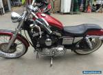 harley davidson 1200 custom for Sale