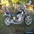 Honda Shadow 750  for Sale