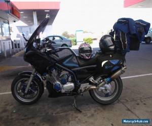 Motorcycle 1999 Yamaha XJ900s Diversion for Sale