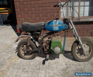 Harley Davidson Mini Bike for Sale