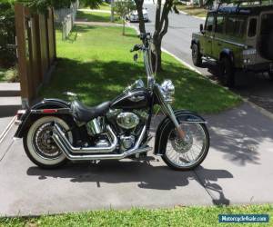 Motorcycle Harley Davidson FLSTN softail deluxe for Sale