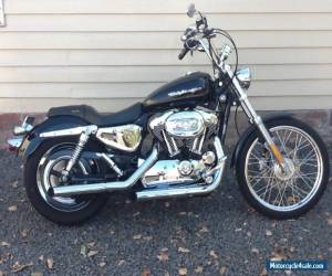 Motorcycle 2006 Harley Davidson XL1200 C for Sale