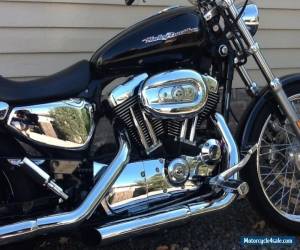 Motorcycle 2006 Harley Davidson XL1200 C for Sale