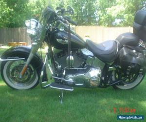 Motorcycle 2005 Harley Davidson Softail for Sale