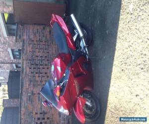 Motorcycle Honda CBR1100XX Blackbird for Sale