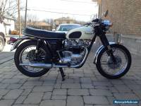 Triumph: Bonneville