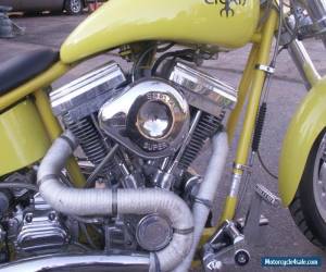 Motorcycle 2004 Titan Sidewinder Hardtail for Sale