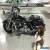 2004 Harley-Davidson Touring for Sale