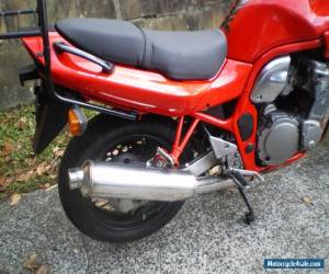 Motorcycle Suzuki gsf 600s Bandit lams for Sale