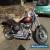 Harley Davidson Fat Bob CVO for Sale