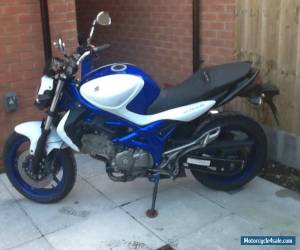 Motorcycle 2011 SUZUKI  WHITE/BLUE for Sale