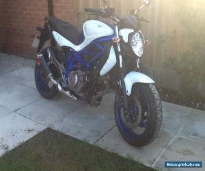 Motorcycle 2011 SUZUKI  WHITE/BLUE for Sale