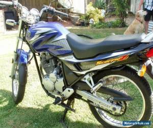Motorcycle yamaha scorpian 225 motorcycle for Sale