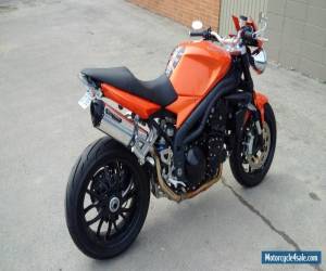 Motorcycle 2009 Triumph Speed Triple for Sale