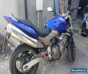 2003 HONDA CB 600 F-3 BLUE for Sale