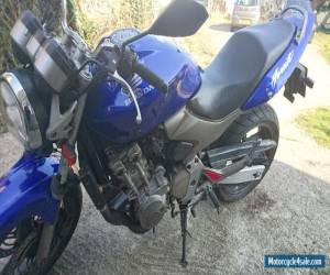 Motorcycle 2003 HONDA CB 600 F-3 BLUE for Sale