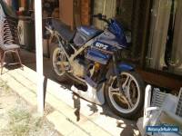 Kawasaki ex500 gpz500 lams project gumtree